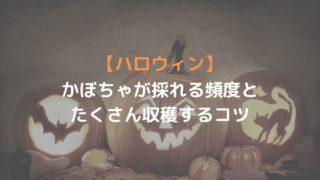 【ハロウィン】あつ森のかぼちゃは何日後に再収穫できる？育てるコツについて